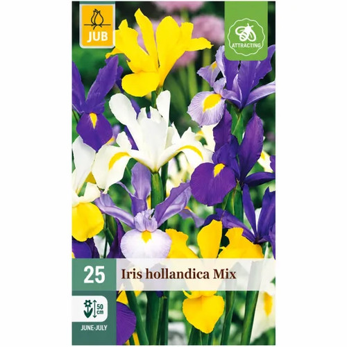 Bulbi iris mix - di, hollandica