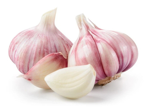 Aglio seme bulbi - da,