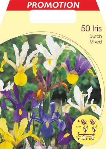 Bulbi autunnali iris - bulbi,