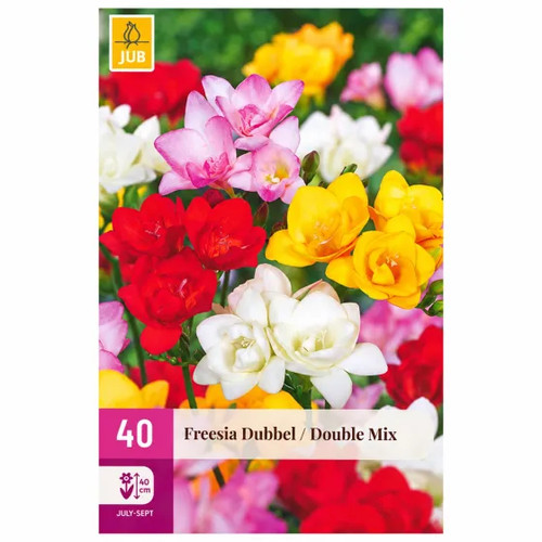 Bulbi fresia mix doppia - fresia,