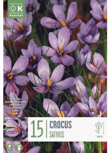 Bulbi crocus sativus - bulbi,