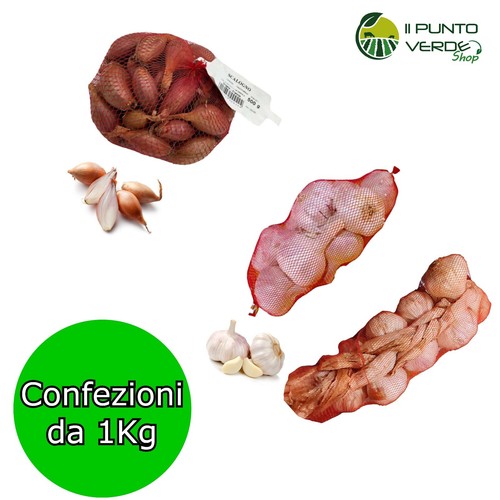 Aglio treccia scalogno - aglio,